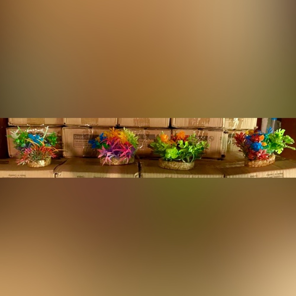 COPY - Aquarium plants bundle of 4
